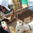 별마로 농장 이미지