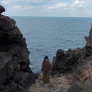 도두봉펜션 | 언덕집국수(후회 안 할 숨은 스팟 공유📸), 협재리식당, 이끼숲소길, 도두봉전망대, 제주 미피소품샵 추천