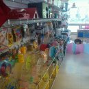 도리순이 이미지