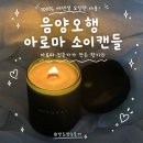 아로마향기 캔들 : 오프그레이 | 요즘 핫한 개운법? 음양오행으로 고르는 소이캔들 솔직후기