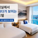마리나장 | 속초 홈마리나호텔 숙박후기 / 주니어스위트 오션뷰 객실 ,주차 정보까지 정리