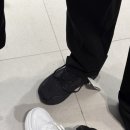 러닝화 입문 추천템! 브룩스 아드레날린 GTS24 구매후기