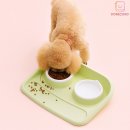 디오펫