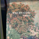 스시 이지언 | [경주맛집, 경주스시맛집] 경주 오마카세 '스시이지언'