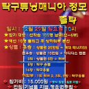 깁밥매니아 Daum카페