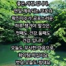 건강정보 ㅡ노년층의 단백질 섭취 ㅡ 밥 대신 공복에 먹으면 ㅡ온몸이 팔팔해질 뿐만 아니라 ㅡ 몸속 염증까지 제거하는 놀라운 효능 이미지