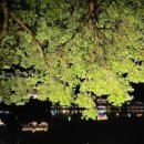 수성유원지(상화동산) 이미지