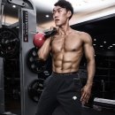 원영향길 이미지