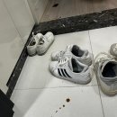 스트릿1988 부천옥길점 이미지