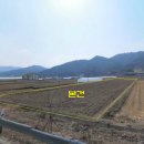 서면초등학교 이미지