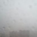 곽만근갈비탕 이미지