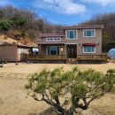 사과나무부동산공인중개사사무소 이미지