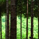 (주)이새종합건설 이미지