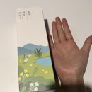 아리스킨케어 | 아리라끄 알로에 락토 토너 대용량 모공케어 사용 후기