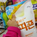 다이소잡화 이미지