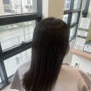 다온 헤어샵 - 장흥군 | 가경동미용실 프리메로헤어 가경점 다온디자이너 아윤채 슬리닉 후기｜부스스한 손상모 케어 추천