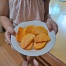 광야농장 이미지