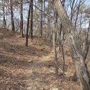 북한산 산성둘레길 &amp; 맛집 (4월19일욜11시불광역8번출안) 이미지