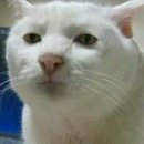 조아목욕탕 이미지