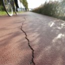 낙동강자전거길 이미지