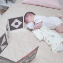 윤오 케이스 | [일상] 아기엄마로 살아가는 11월의 이야기