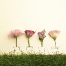 보창한의원 이미지