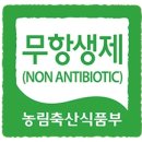 신대진목장 이미지