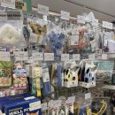 아무도 없개 이미지