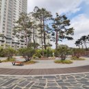 도안호수공인중개사사무소 이미지