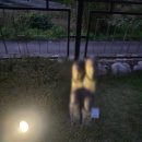 쉐르빌온천관광호텔(가족탕) 이미지