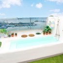 플로리다 봉봉 이미지