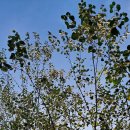가을길목의 춘천 의암호~ 이미지