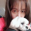 서현펫# 이미지