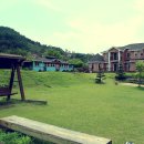 에코피아그린 이미지