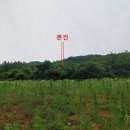 단양군어상천면덕문곡보건진료소 | [2020타경7216] 충북 단양군 어상천면 덕문곡리 567-2 <<단양토지(전)경매>>