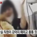 애견미용실 이미지