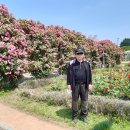 뚝섬한강공원-22 이미지