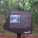 추석(秋夕)앞두고＜바쁘게 떠나간 집식구 산소를 찾아 넋두리한다.＞ 이미지