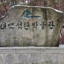 태백산식당·튀김 이미지