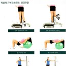 비너스헬스 이미지