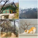 신목동역 1번출구 | 마을 산책 - 용왕산 &amp; 봉제산