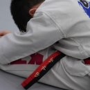 길잡이 태권도 이미지