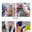 서부산동물메디컬센터 이미지