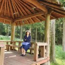 제주로뎀나무하우스 이미지