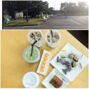 오매기공원 Daum카페