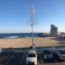 수안목장 이미지