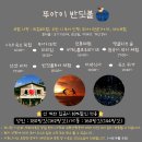 반딧불이 | 코타키나발루 뚜아이 반딧불이 투어 후기｜저녁 제공·공항 드랍 포함