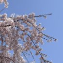 아주 오랜만의 일상