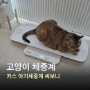 카스 | 고양이 체중계, 카스 아기체중계 사용 후기