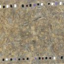 심성의 기호 이미지